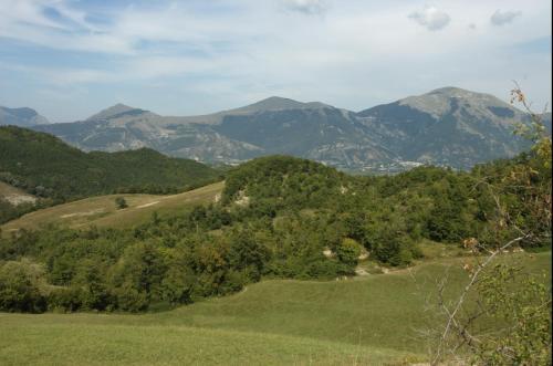 Il Palazzetto Apartment 4