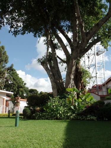 Bed & Breakfast Villa Leone Guest House, Gigiri, Nairobi