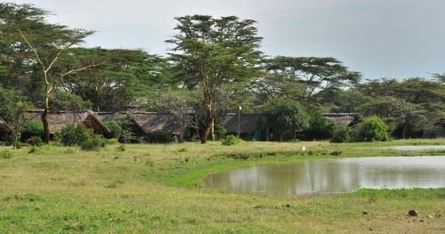 Lodge Sweetwaters Serena Camp