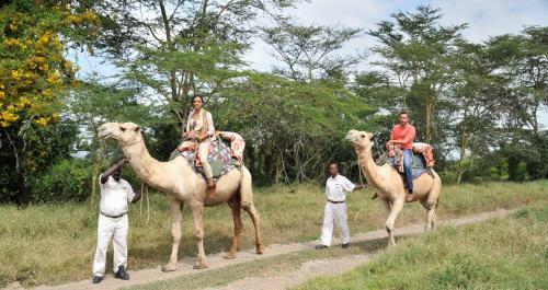 Lodge Sweetwaters Serena Camp
