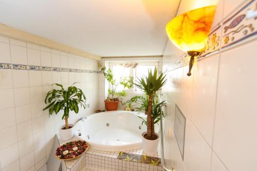Akzent Hotel Goldner Stern
