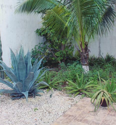 Hostal Rooms In Cancun Alamos