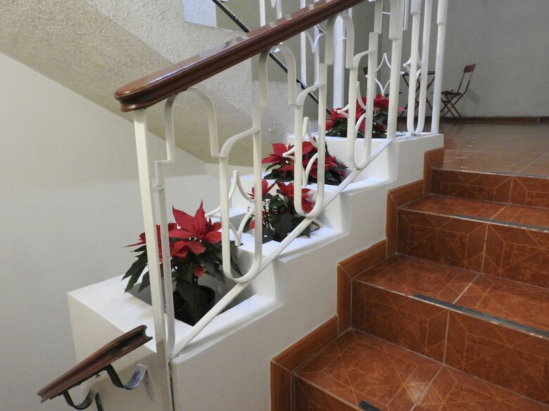 Hostal San Jemo, Le�n