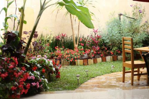 Hotel Galeria