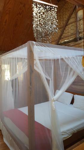 Hostal Barefoot In Barra