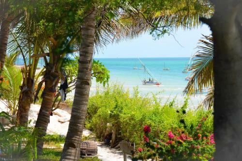 Hotel Baobab Beach Resort And Backpackers