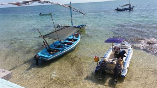 Lodge Dolphin Dhow Safaris
