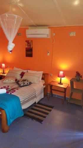 Lodge Dolphin Dhow Safaris