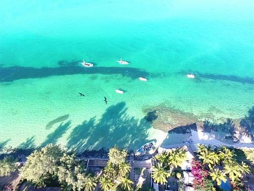 Lodge Dolphin Dhow Safaris