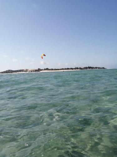 Lodge Dolphin Dhow Safaris