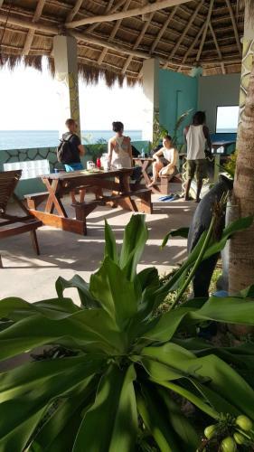 Lodge Dolphin Dhow Safaris