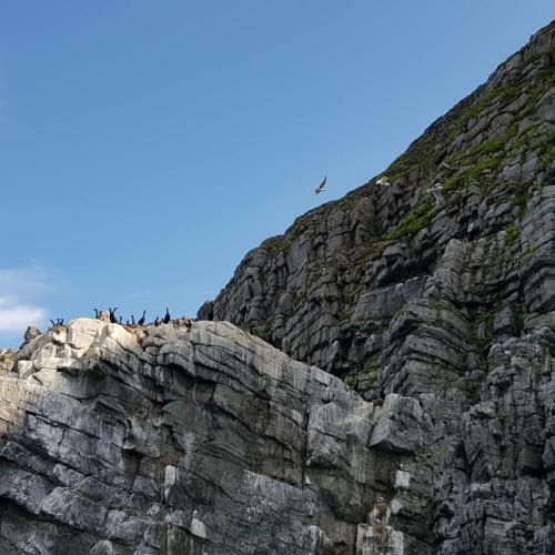 B�tsfjord Hotell & Camping