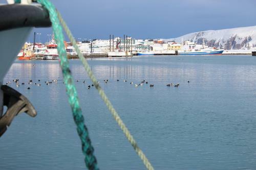 B�tsfjord Hotell & Camping