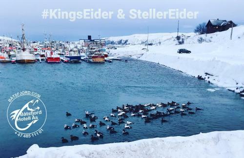 B�tsfjord Hotell & Camping