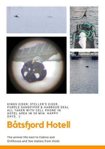 B�tsfjord Hotell & Camping