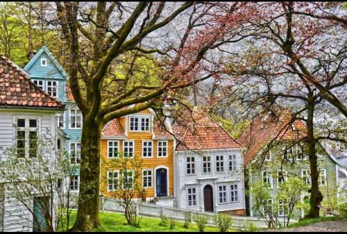 Apartamento Lille �vregate