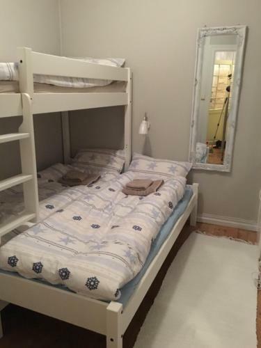 Apartamento Lille �vregate