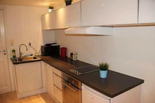 Apartamento Skuteviksveien 42