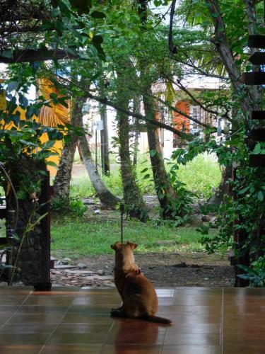 Macondo Hostel
