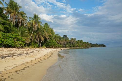 Apartamento Residencia Natural