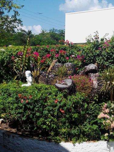 Casa De Los Suenos B&B Coronado Panama