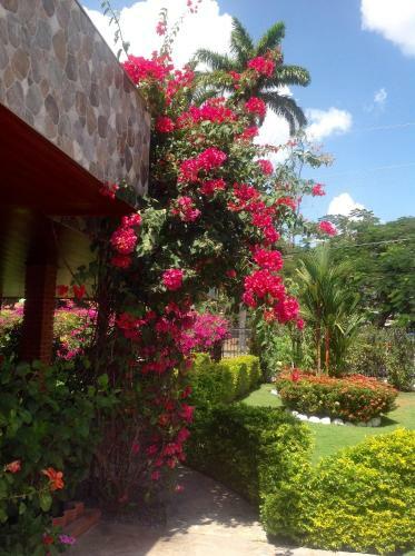 Casa De Los Suenos B&B Coronado Panama
