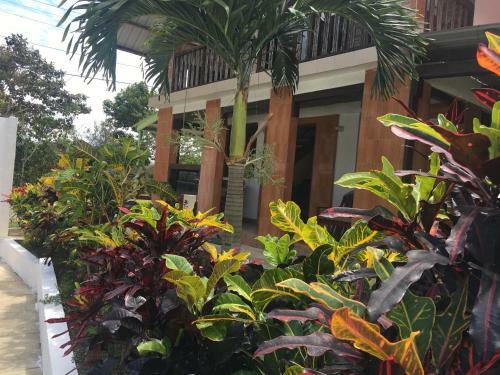 Hostal Rainforest Yasmin Hostel