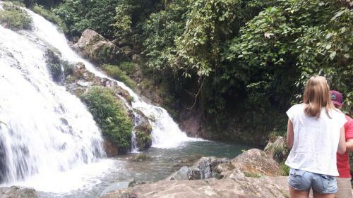 Hostal Rainforest Yasmin Hostel