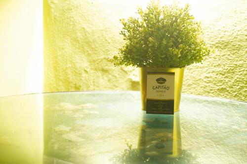 Bed & Breakfast Capit�o Guest House