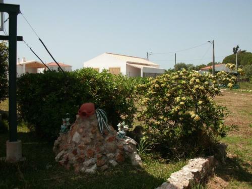Moradia Perto Dos Palmares