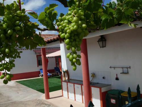 Moradia Perto Dos Palmares