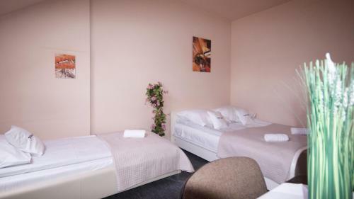 Albergue Villa Alris