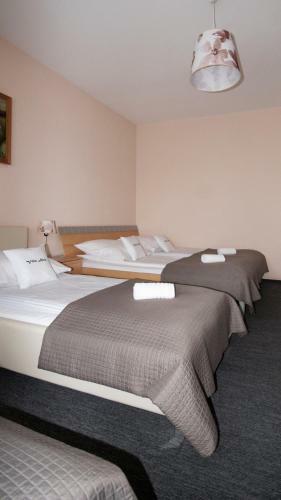 Albergue Villa Alris