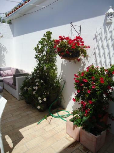 Bed & Breakfast Casa Da Paz