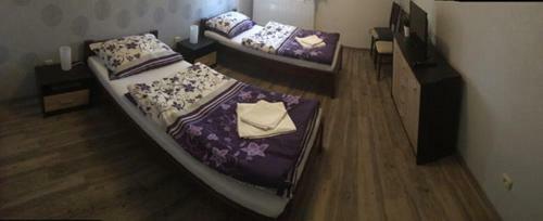 Hostal Restaurace A Penzion Blu?ina