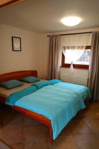 Apartment V�clavov