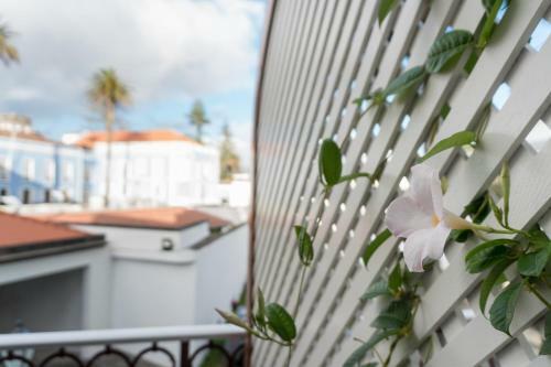 Bed & Breakfast Casa Das Palmeiras Charming House - Azores 1901