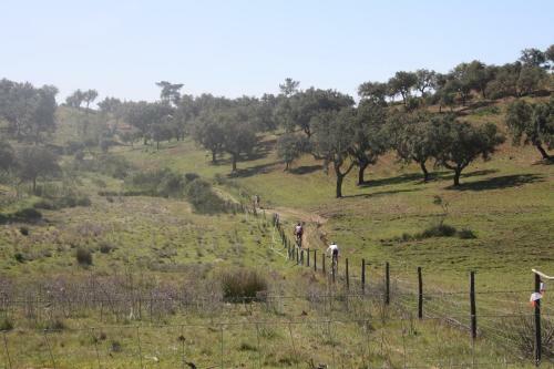 Agroturismo Herdade Vale De Cabras
