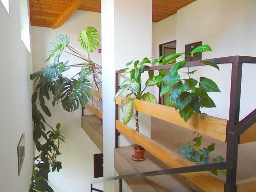Hostal Wellness Penzion L�zn? Jablonec