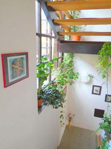 Hostal Wellness Penzion L�zn? Jablonec