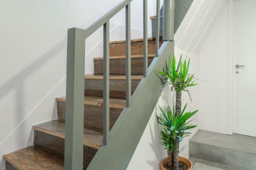 Oporto City Flats - Cimo De Vila B&B