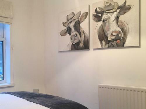 Apartamentos Durham Serviced Properties - The Sanctuary
