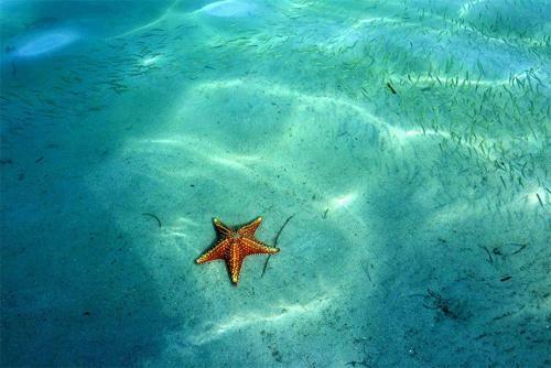 Apartamento Blue Water White Sand Gentle Breeze