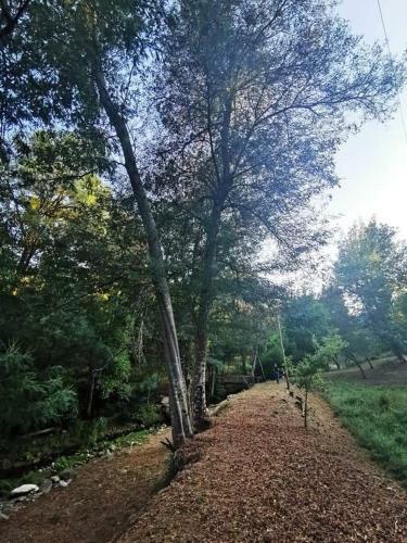 Agroturismo Casa Da Ribeira Do C�rio