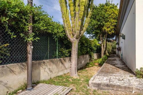 Villa Akivillas Meco Relax