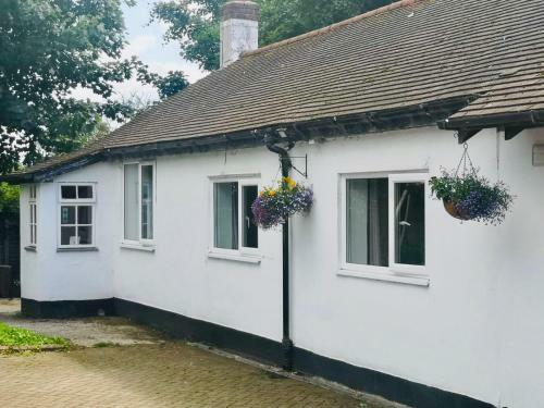 The Lodge, Hale Village