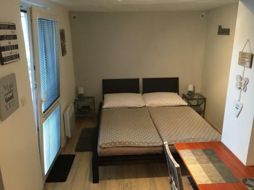 Hostal Ubytovani Na Hrazi 91
