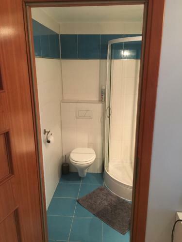 Hostal Ubytovani Na Hrazi 91
