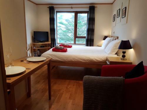 Apartamento Studio Upper Baila