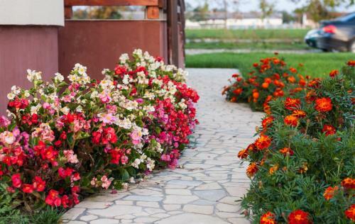 Hostal Pensiunea Nobila